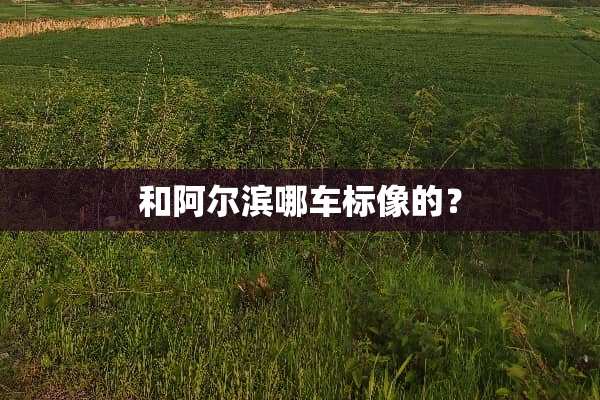和阿尔滨哪车标像的？