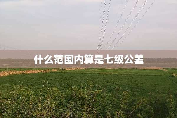什么范围内算是七级公差