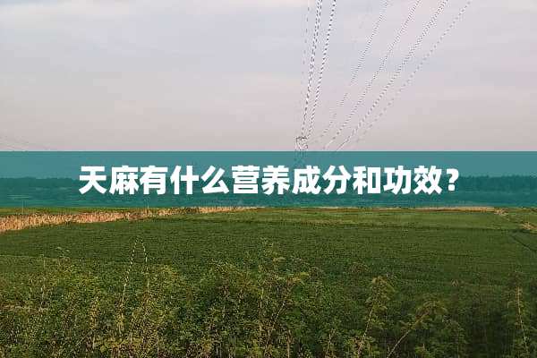 天麻有什么营养成分和功效？