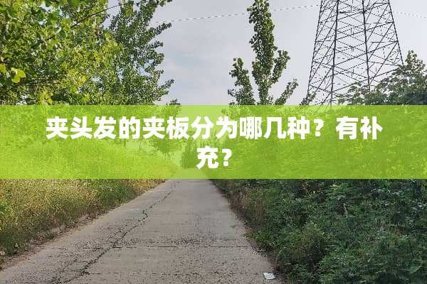 夹头发的夹板分为哪几种？有补充？