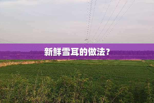 新鲜雪耳的做法？