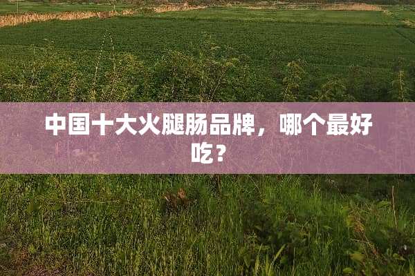 中国十大火腿肠品牌，哪个最好吃？