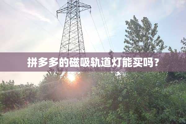 拼多多的磁吸轨道灯能买吗？
