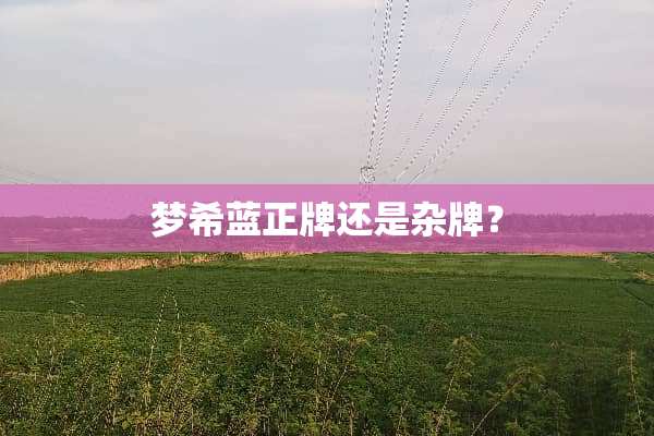 梦希蓝正牌还是杂牌？