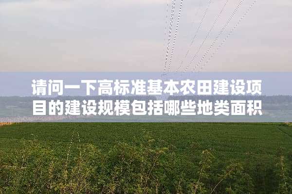 请问一下高标准基本农田建设项目的建设规模包括哪些地类面积。