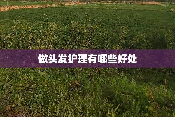 做头发护理有哪些好处
