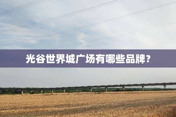 光谷世界城广场有哪些品牌？