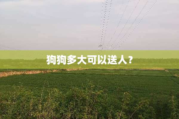 狗狗多大可以送人？