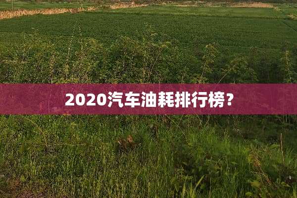 2020汽车油耗排行榜？