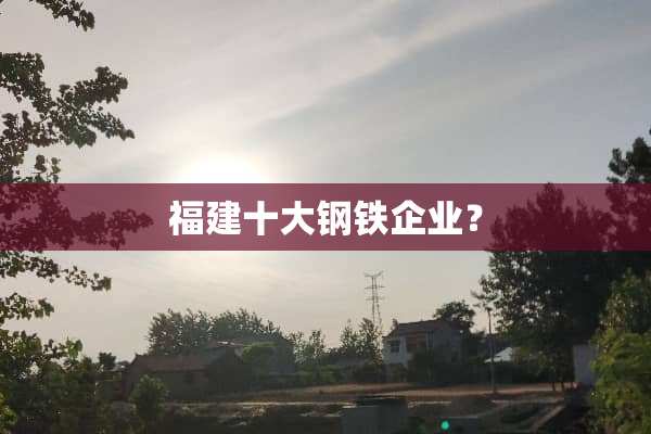 福建十大钢铁企业？