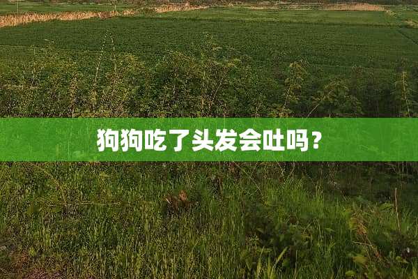 狗狗吃了头发会吐吗？