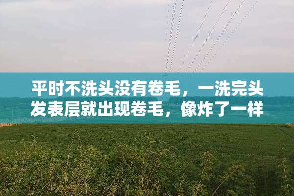平时不洗头没有卷毛，一洗完头发表层就出现卷毛，像炸了一样，什么原因，自然卷吗？