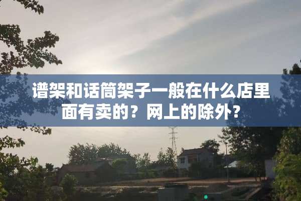 谱架和话筒架子一般在什么店里面有卖的？网上的除外？
