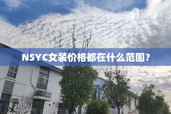 NSYC女装价格都在什么范围？
