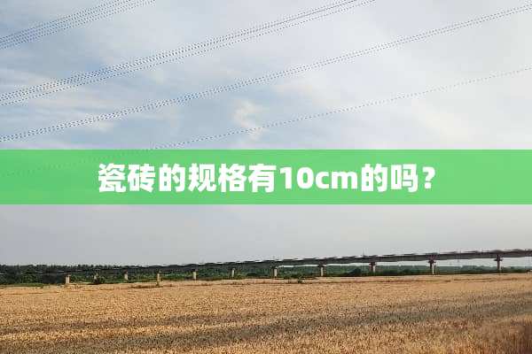 瓷砖的规格有10cm的吗？