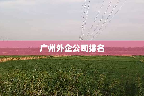 广州外企公司排名