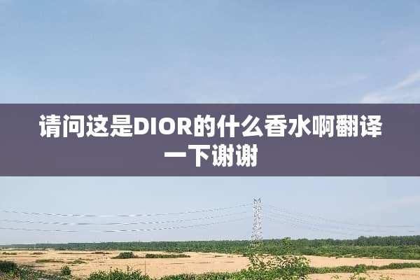 请问这是DIOR的什么香水啊翻译一下谢谢