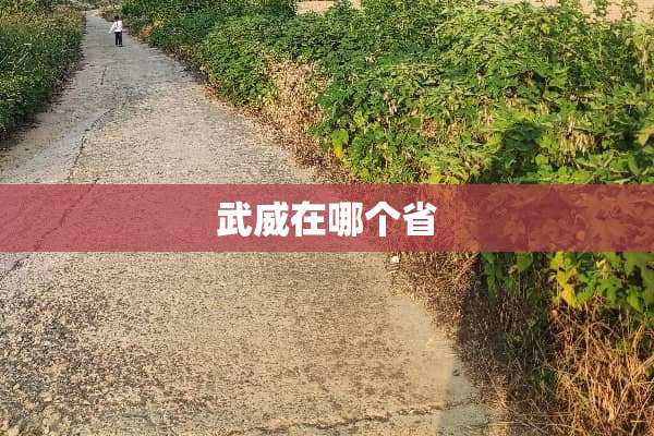 武威在哪个省