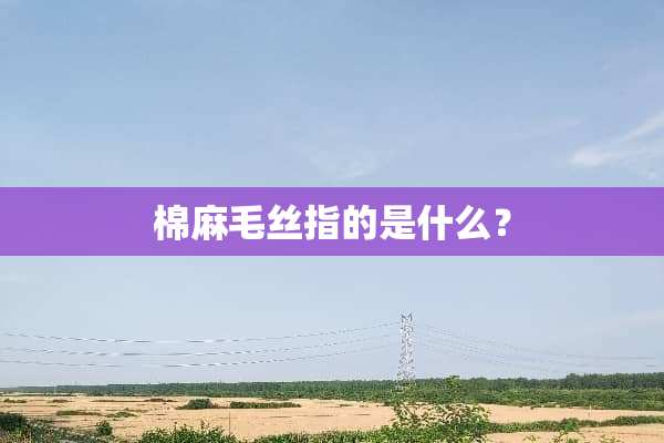 棉麻毛丝指的是什么？