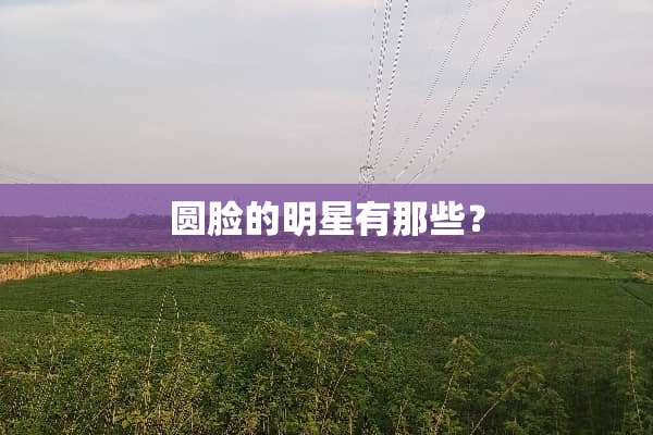 圆脸的明星有那些？