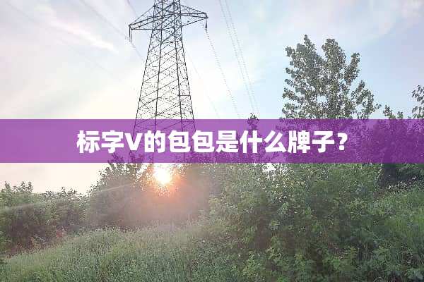 标字V的包包是什么牌子？