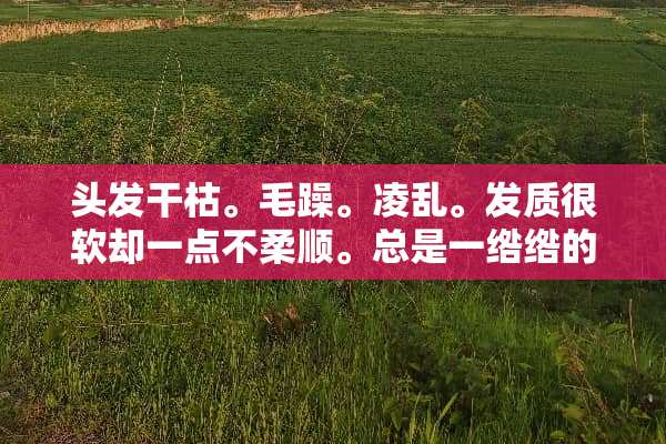 头发干枯。毛躁。凌乱。发质很软却一点不柔顺。总是一绺绺的。怎吗办？急救？