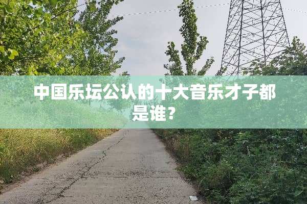 中国乐坛公认的十大音乐才子都是谁？