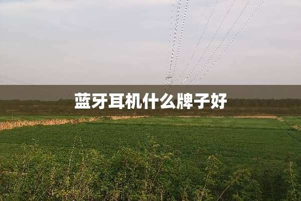蓝牙耳机什么牌子好