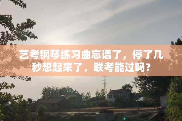 艺考钢琴练习曲忘谱了，停了几秒想起来了，联考能过吗？