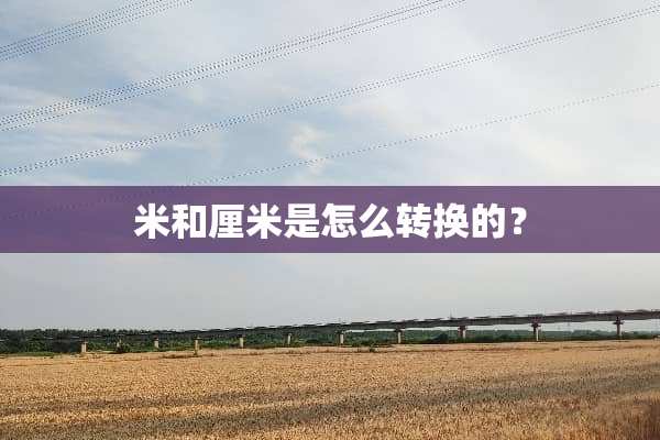 米和厘米是怎么转换的？