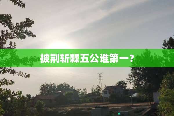 披荆斩棘五公谁第一？