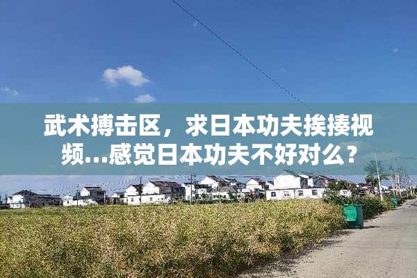 武术搏击区，求日本功夫挨揍视频…感觉日本功夫不好对么？