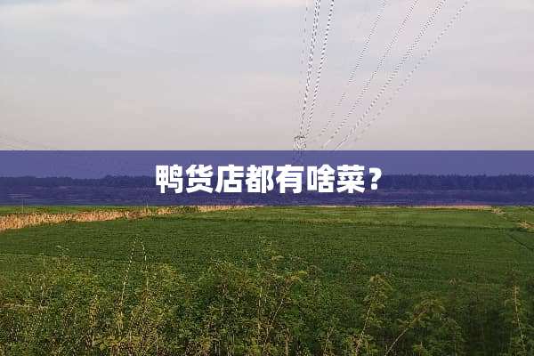 鸭货店都有啥菜？