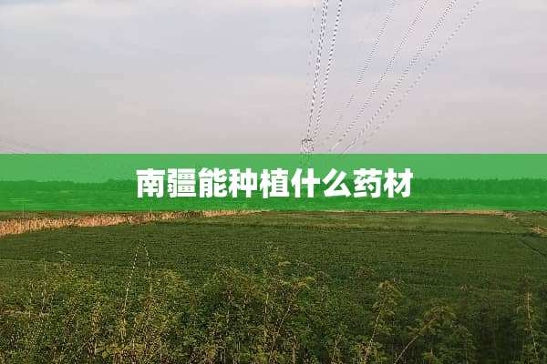南疆能种植什么药材