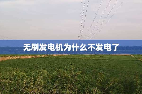 无刷发电机为什么不发电了