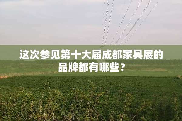 这次参见第十大届成都家具展的品牌都有哪些？