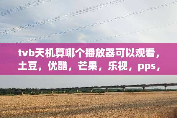 tvb天机算哪个播放器可以观看，土豆，优酷，芒果，乐视，pps，爱奇艺，都没有？