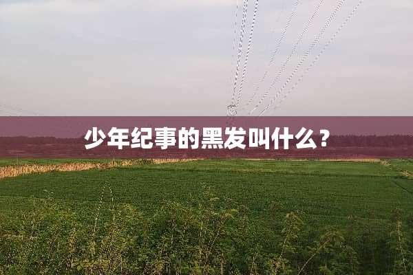 少年纪事的黑发叫什么？
