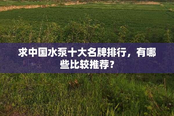 求中国水泵十大名牌排行，有哪些比较推荐？