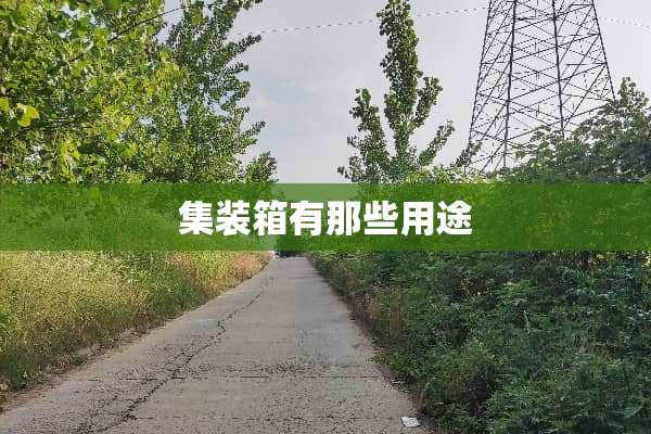 集装箱有那些用途
