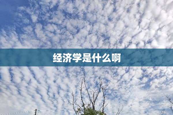 经济学是什么啊