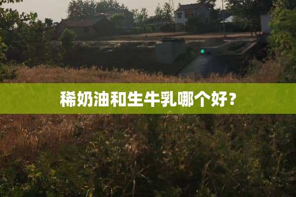 稀奶油和生牛*哪个好？