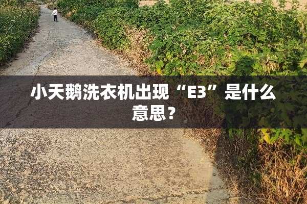 小天鹅洗衣机出现“E3”是什么意思？