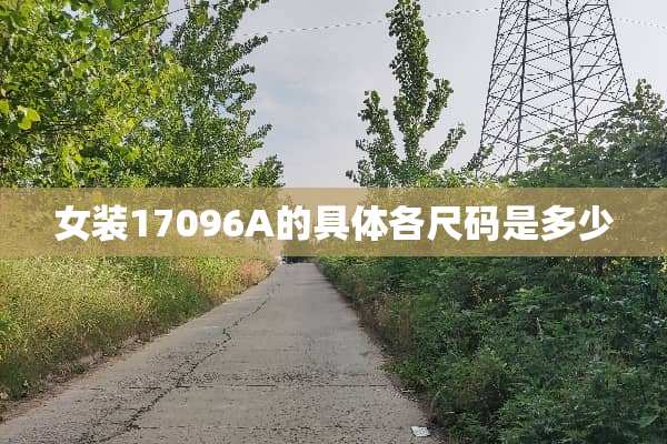 女装17096A的具体各尺码是多少