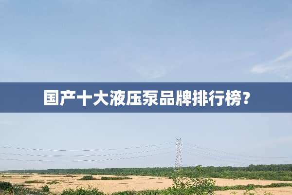 国产十大液压泵品牌排行榜？