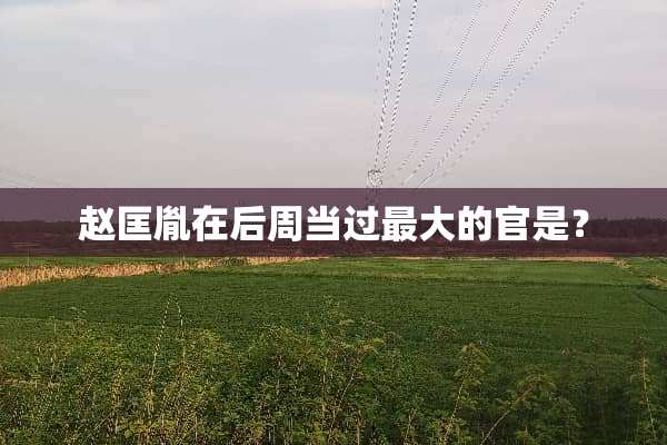 赵匡胤在后周当过最大的官是？