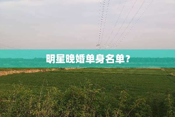 明星晚婚单身名单？