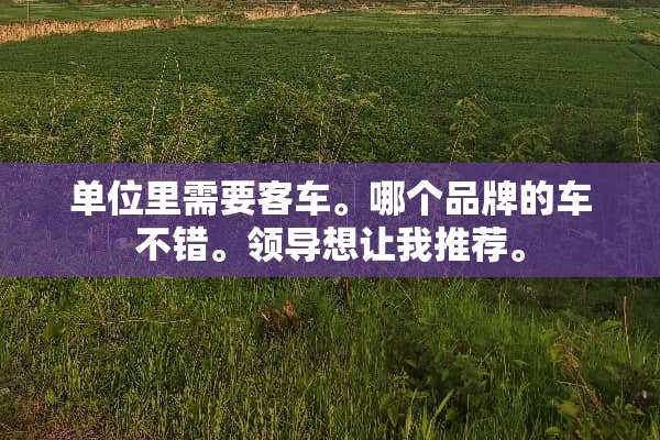单位里需要客车。哪个品牌的车不错。领导想让我推荐。