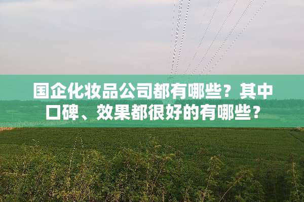 国企化妆品公司都有哪些？其中口碑、效果都很好的有哪些？