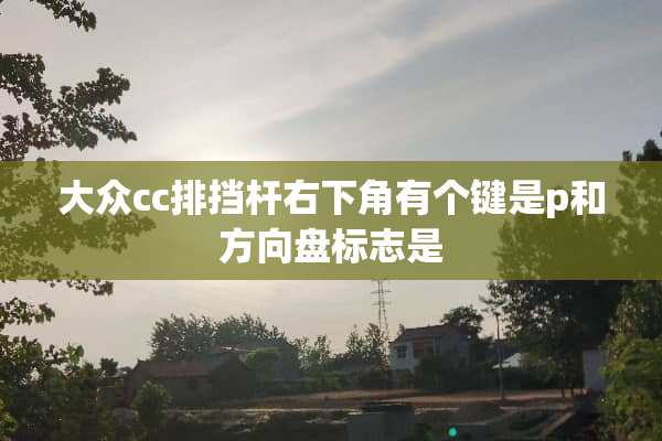 大众cc排挡杆右下角有个键是p和方向盘标志是